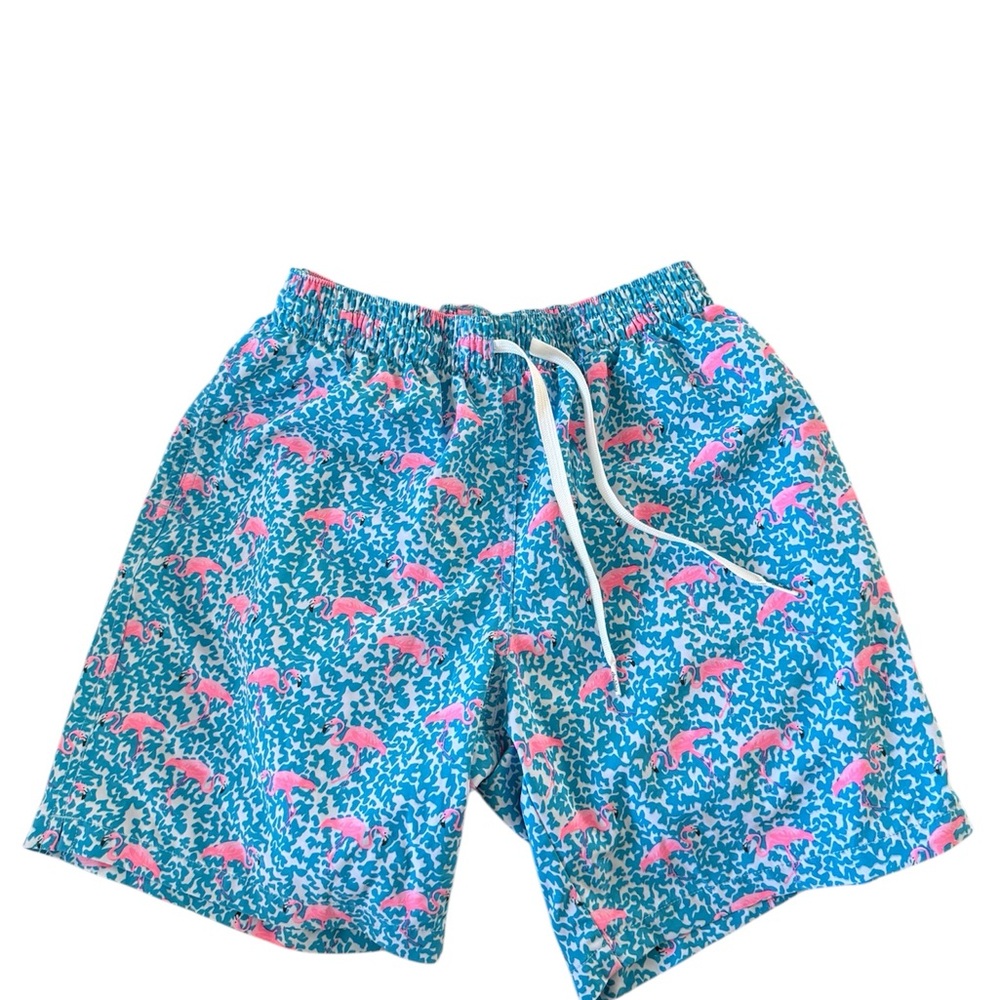 Chubbies Vibrant Teal and Pink Swim Trunks